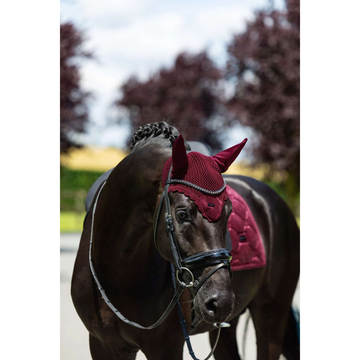 Equestrian Stockholm Bonnet Anti-Mouches Velvet Merlot