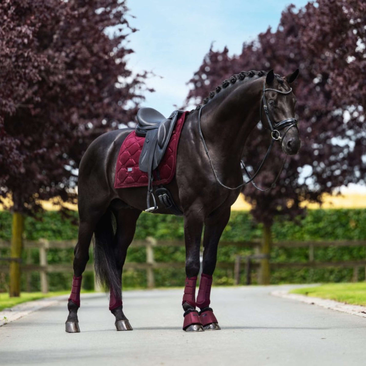 Equestrian Stockholm Guêtres Mesh Merlot