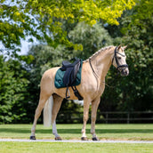 Equestrian Stockholm Tapis de Selle Velvet Dressage Sycamore Green