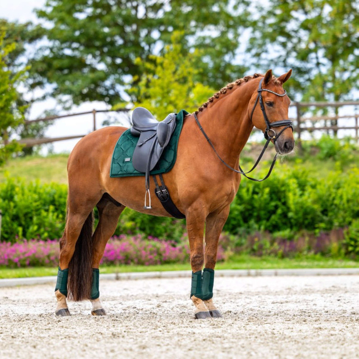 Equestrian Stockholm Tapis de Selle Velvet Dressage Sycamore Green