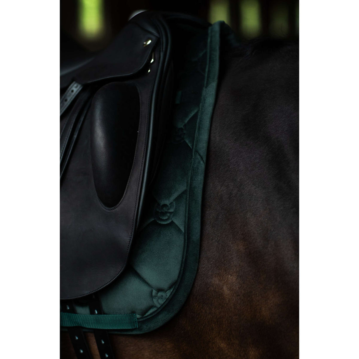 Equestrian Stockholm Tapis de Selle Velvet Dressage Sycamore Green
