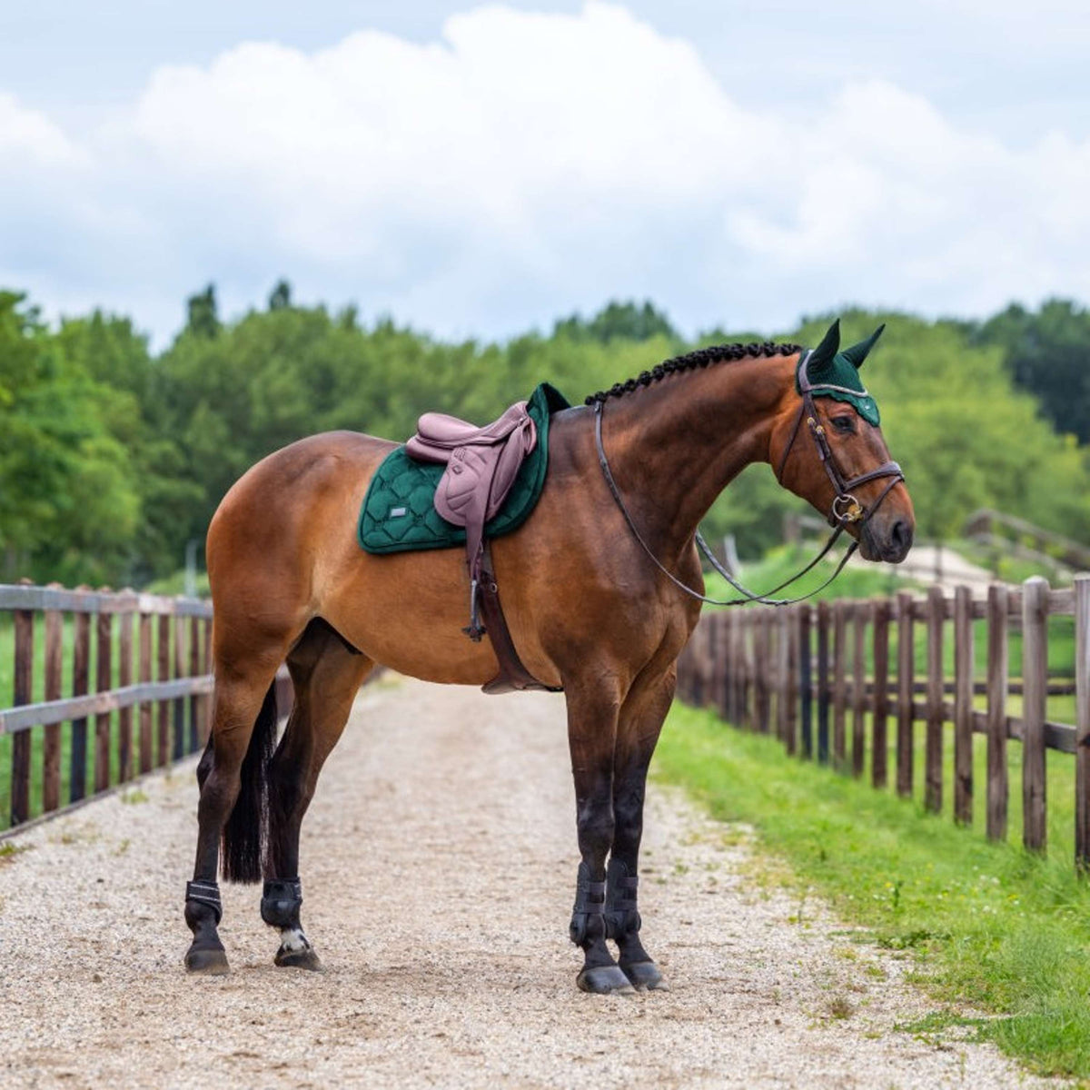 Equestrian Stockholm Tapis de Selle Velvet de Saut Sycamore Green