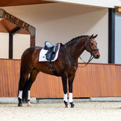 Equestrian Stockholm Tapis de Selle Modern Dressage Blanc/Merlot