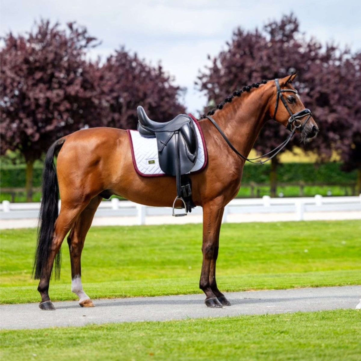 Equestrian Stockholm Tapis de Selle Modern Dressage Blanc/Merlot