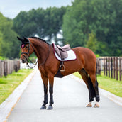 Equestrian Stockholm Tapis de Selle Modern de Saut Blanc/Merlot