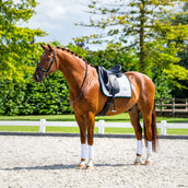 Equestrian Stockholm Tapis de Selle Modern Dressage Blanc/Sycamore Green