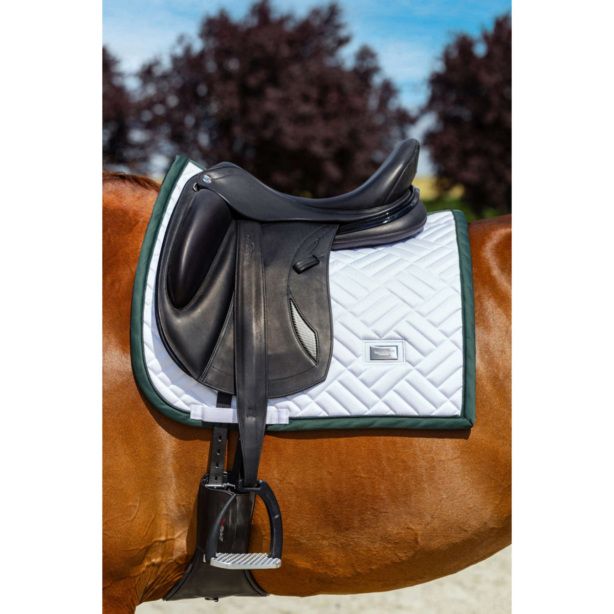 Equestrian Stockholm Tapis de Selle Modern Dressage Blanc/Sycamore Green