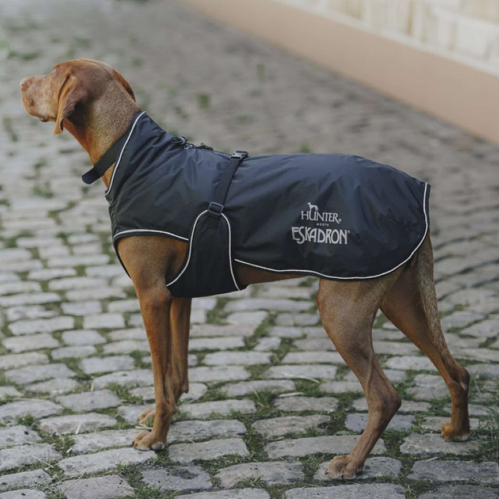Hunter x Eskadron Manteau d’hiver pour chien Vario Noir