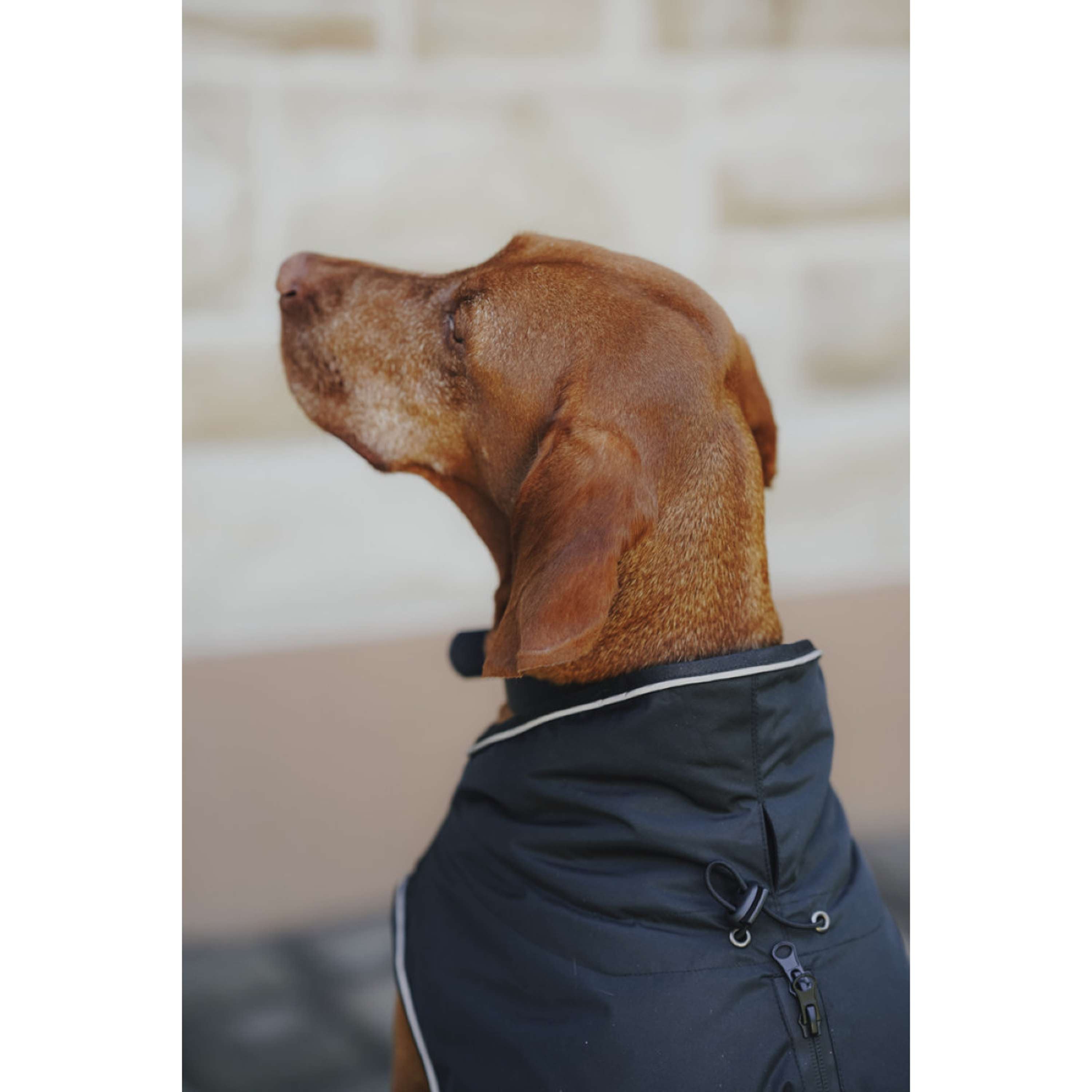 Hunter x Eskadron Manteau d’hiver pour chien Vario Noir