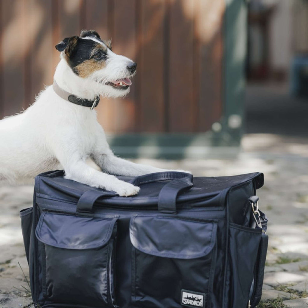 Hunter x Eskadron Collier pour Chien Spark Taupe