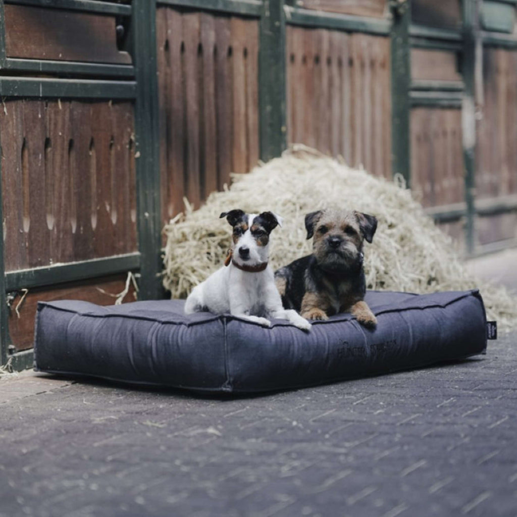 Hunter x Eskadron Lit pour Chien Chester Anthracite carreau