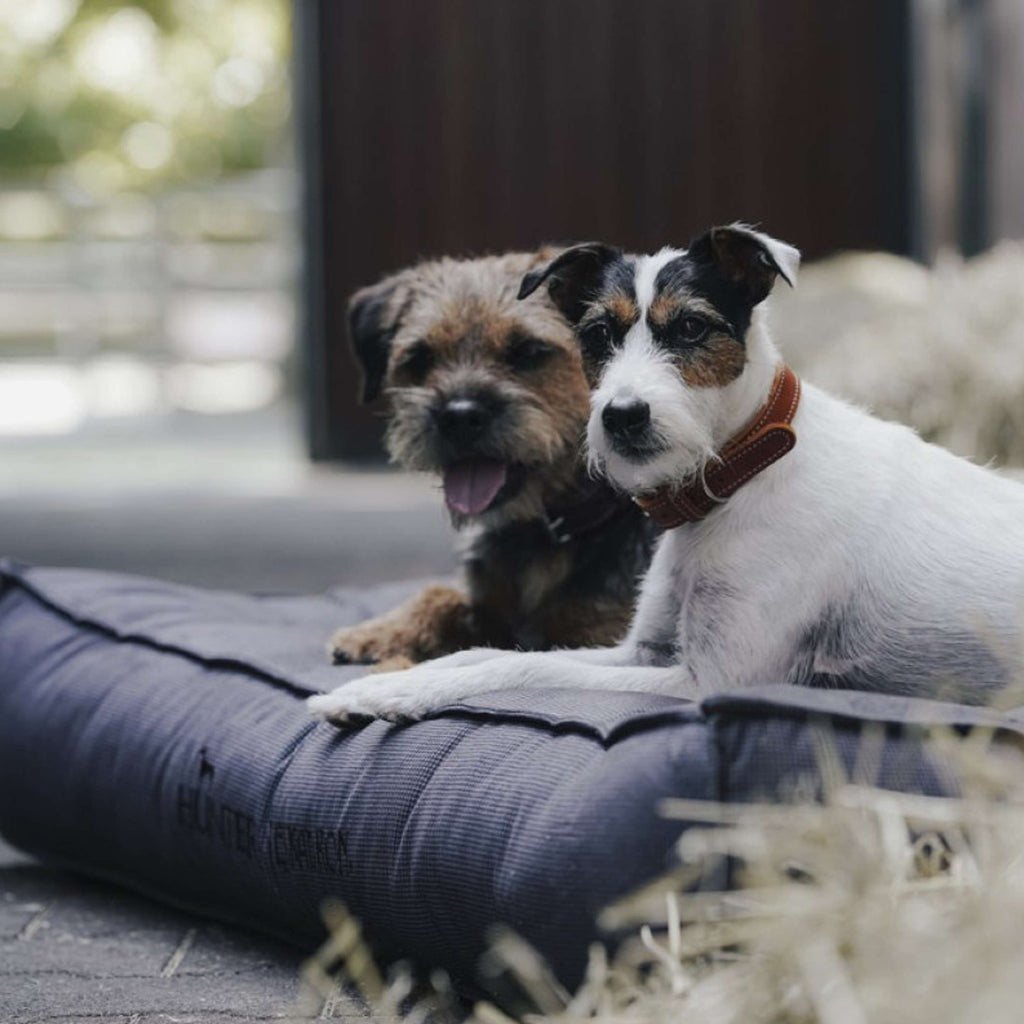 Hunter x Eskadron Lit pour Chien Chester Anthracite carreau