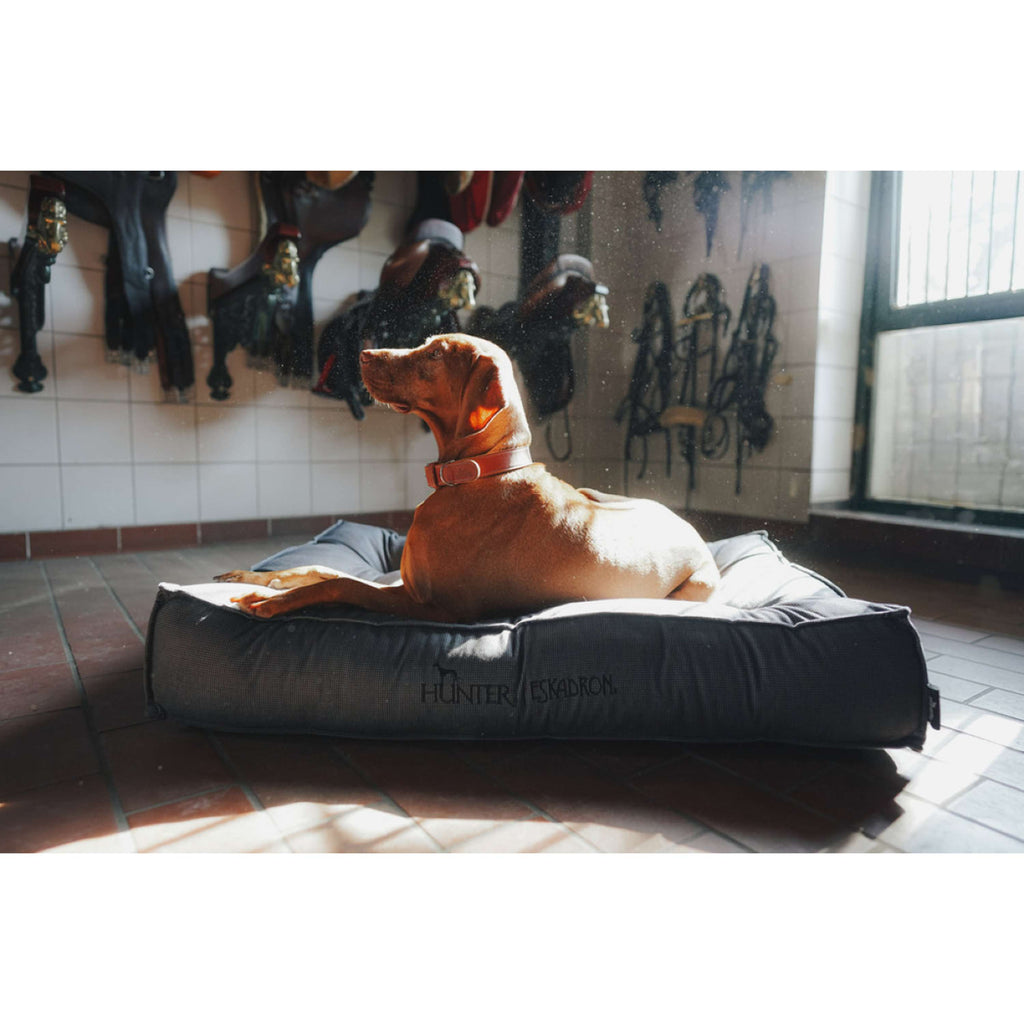 Hunter x Eskadron Lit pour Chien Chester Anthracite carreau