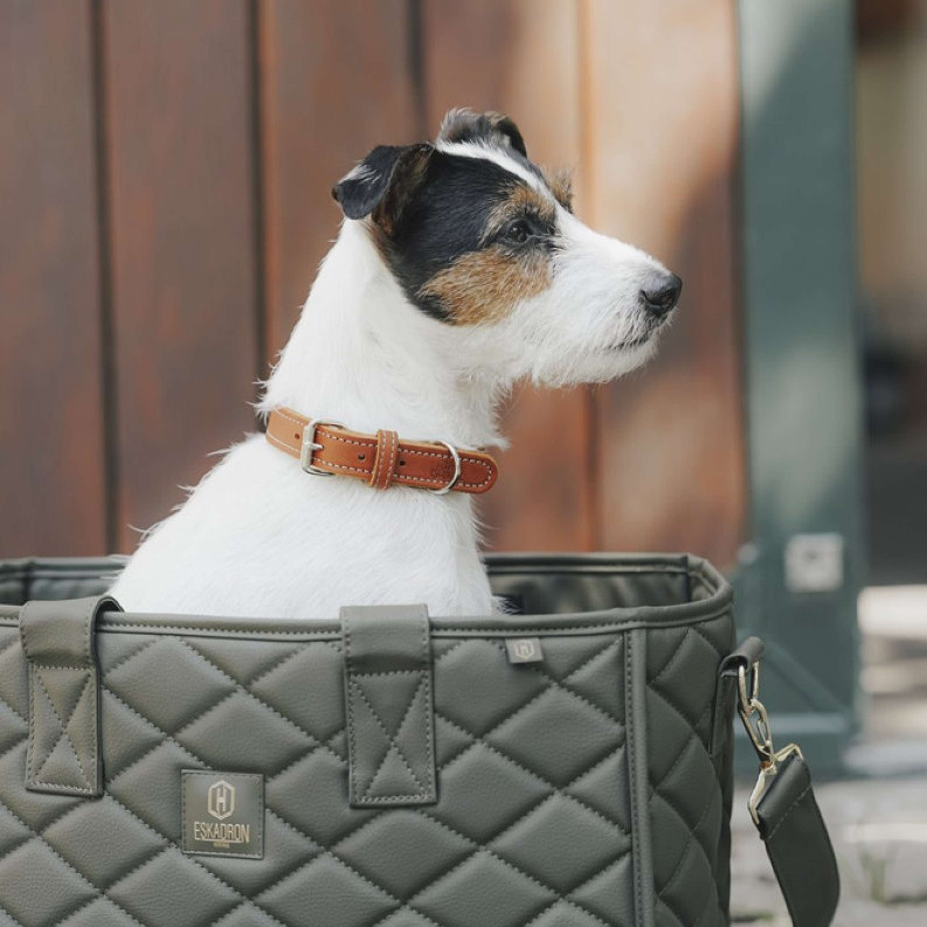 Hunter x Eskadron Collier pour Chien Craft Cognac