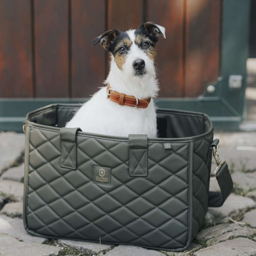 Hunter x Eskadron Collier pour Chien Craft Cognac