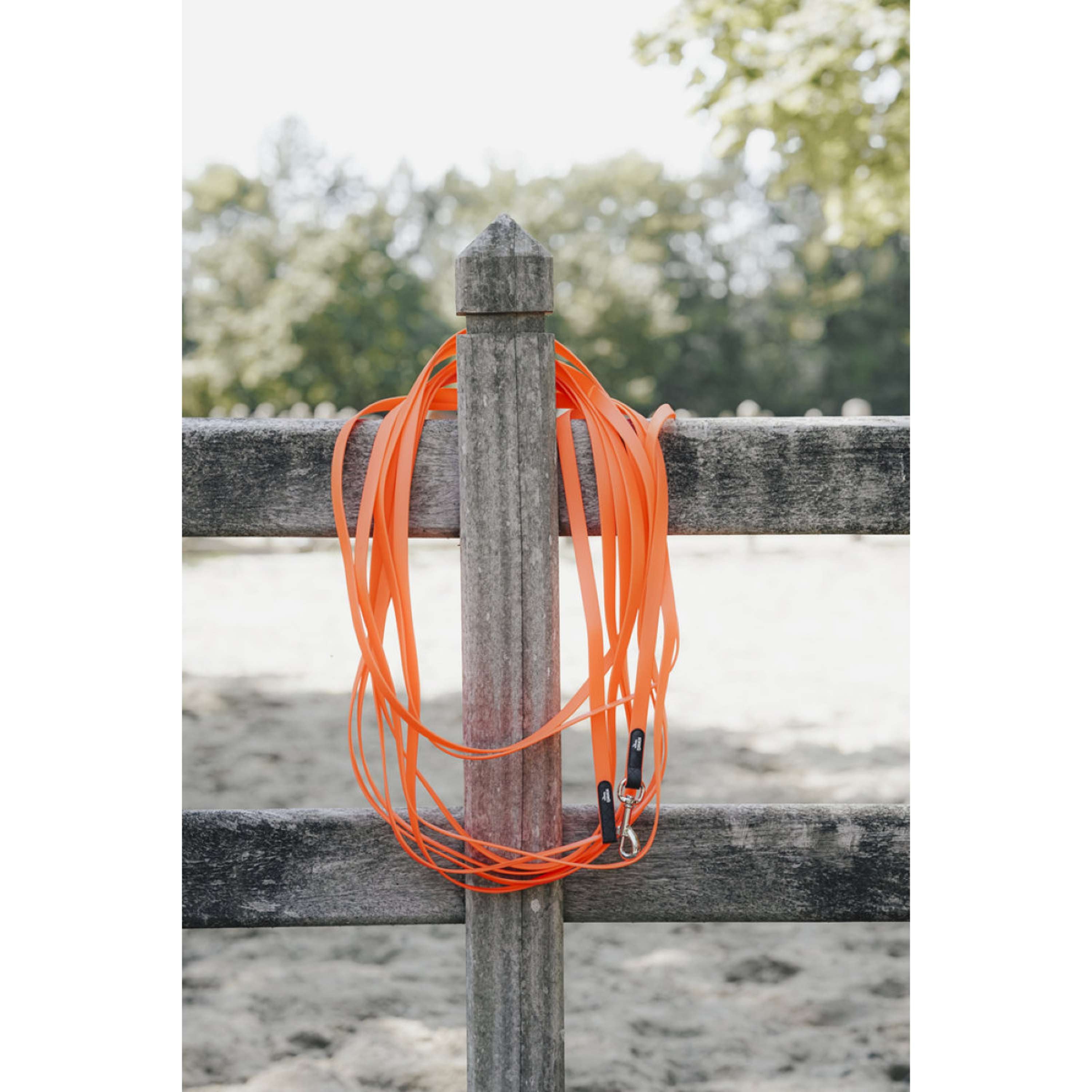 Hunter x Eskadron Laisse pour Chien Spark Tracking Neon Orange