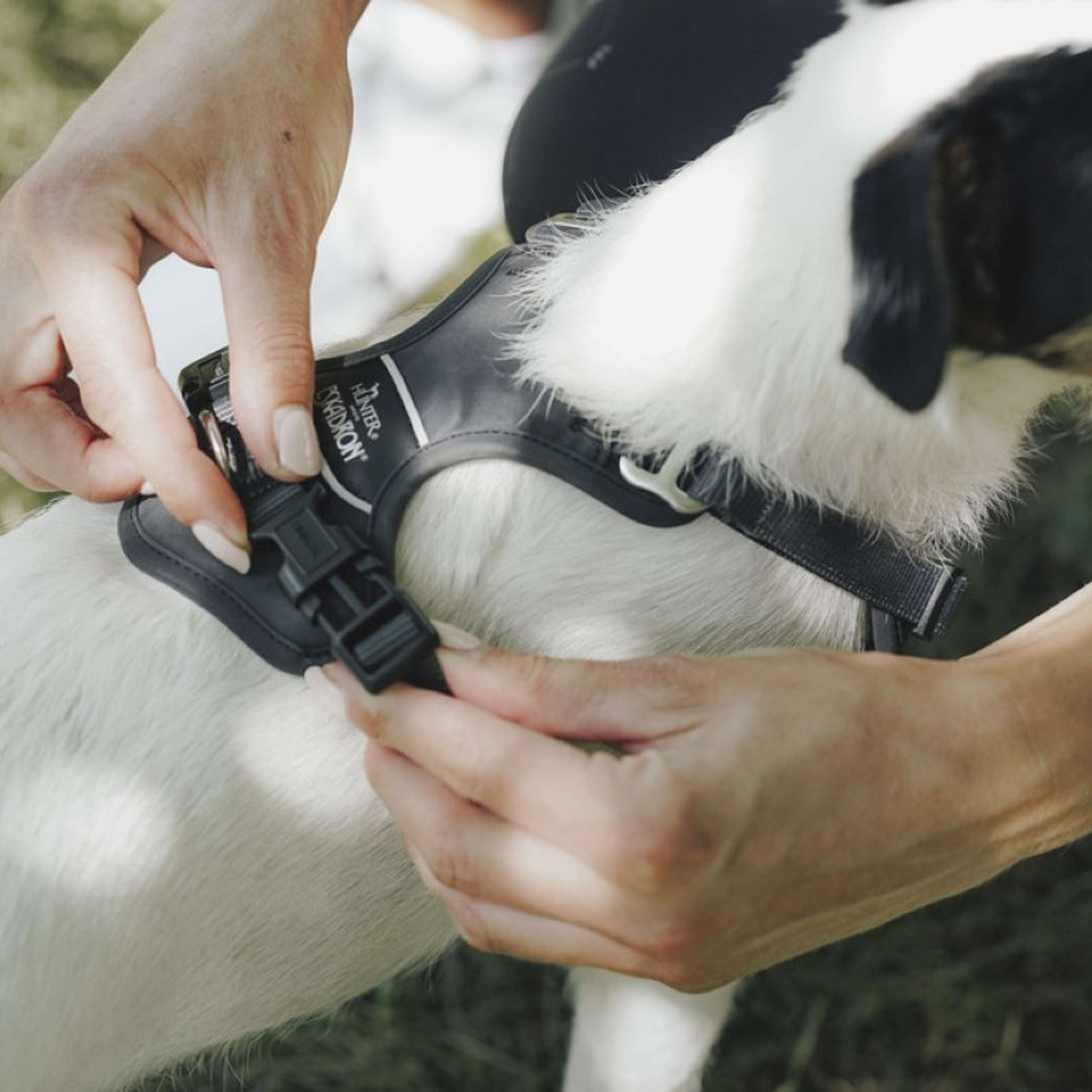 Hunter x Eskadron Harnais pour Chien Motion Reflect Anthracite