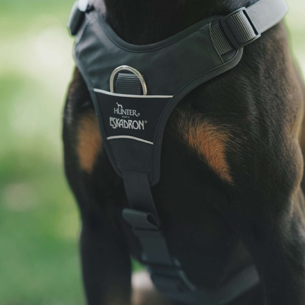 Hunter x Eskadron Harnais pour Chien Motion Reflect Anthracite