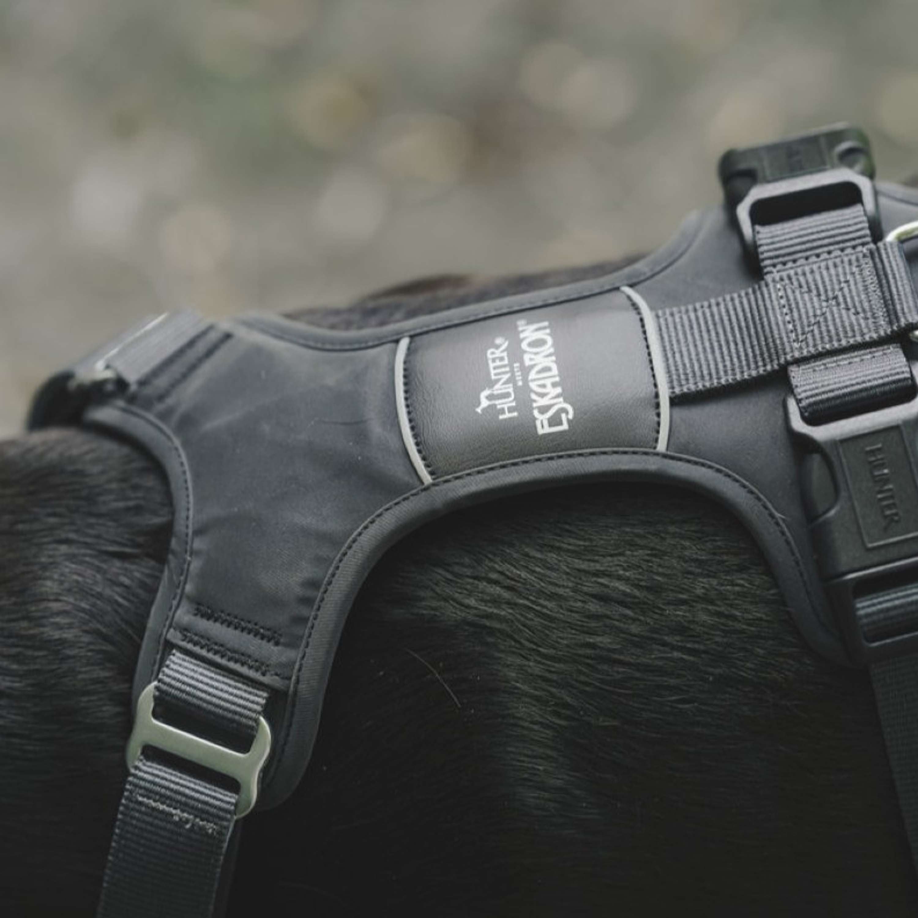 Hunter x Eskadron Harnais pour Chien Motion Reflect Anthracite