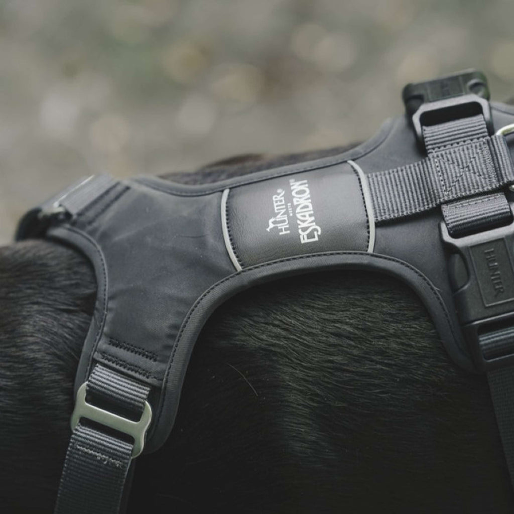 Hunter x Eskadron Harnais pour Chien Motion Reflect Anthracite