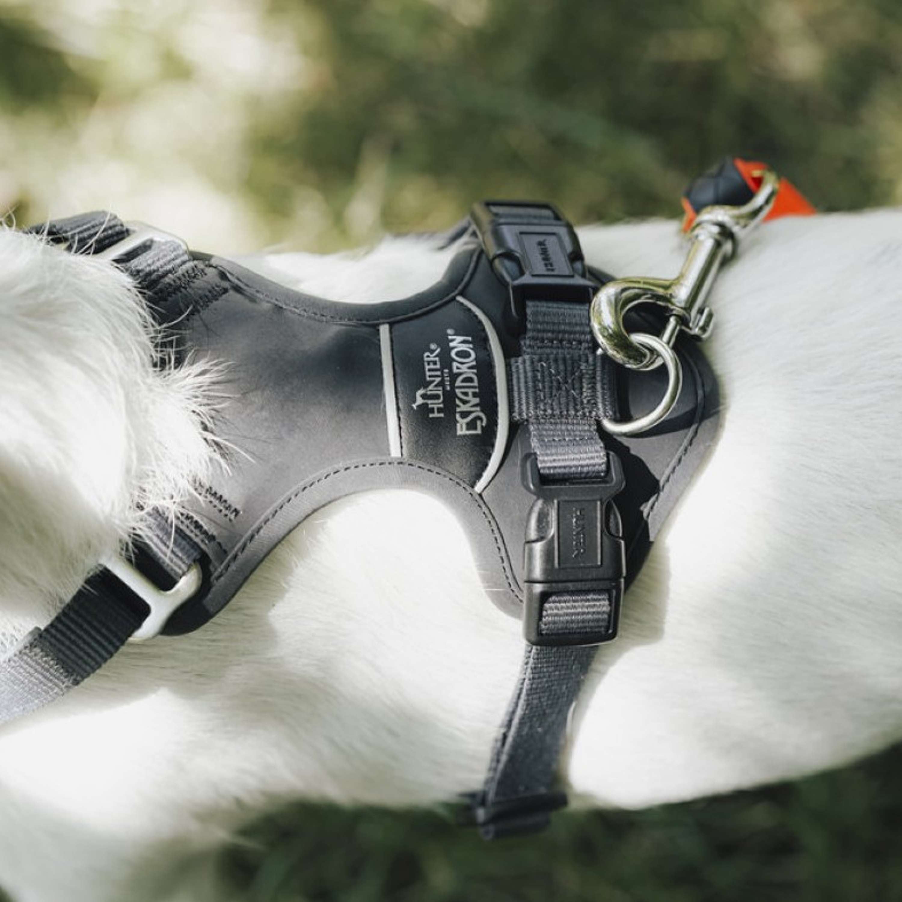 Hunter x Eskadron Harnais pour Chien Motion Reflect Anthracite