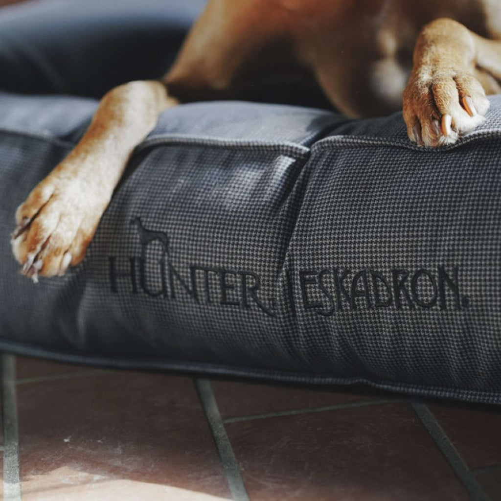 Hunter x Eskadron Lit pour Chien Chester Anthracite carreau