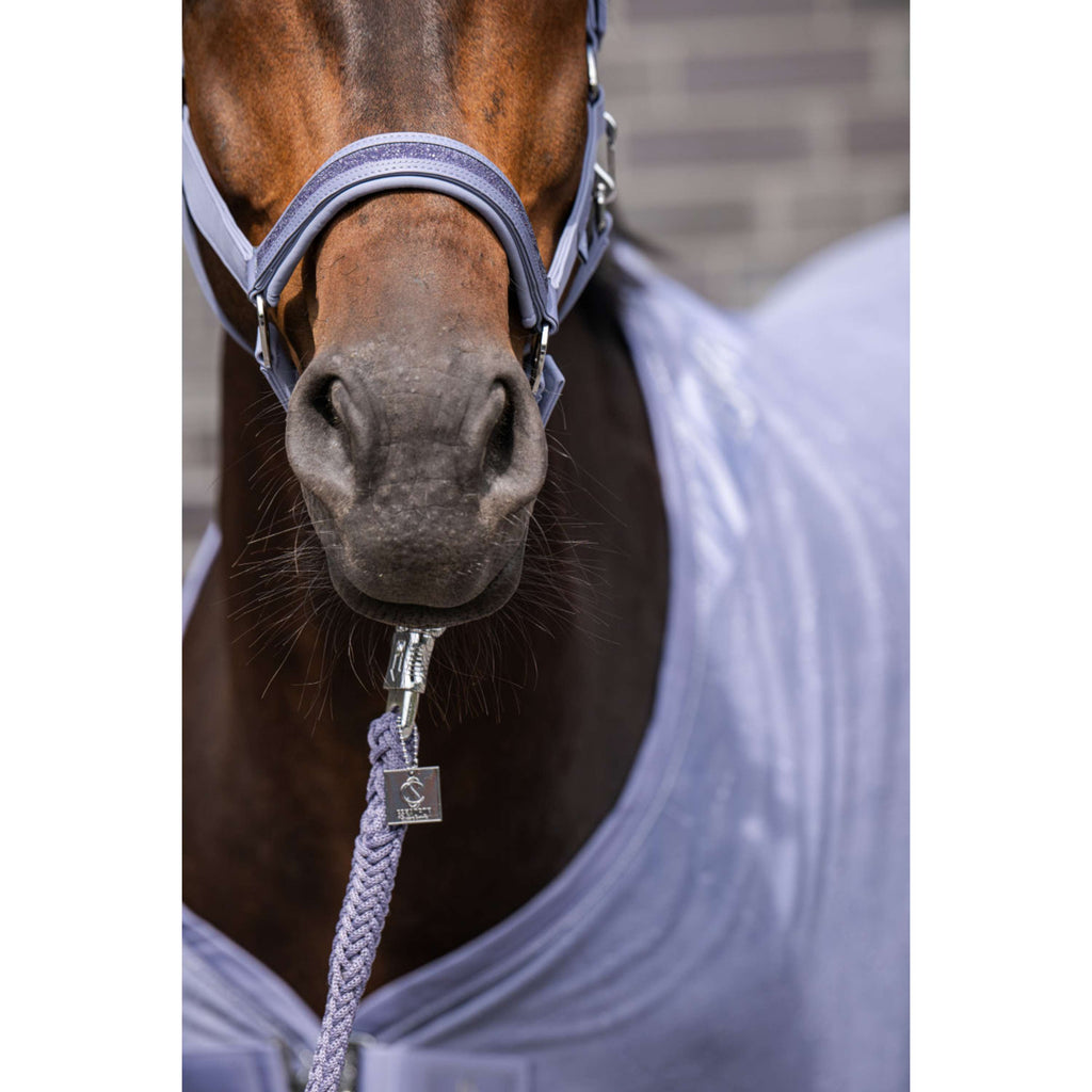 Eskadron Licol Classic Sports Softshell Jewel Orchid