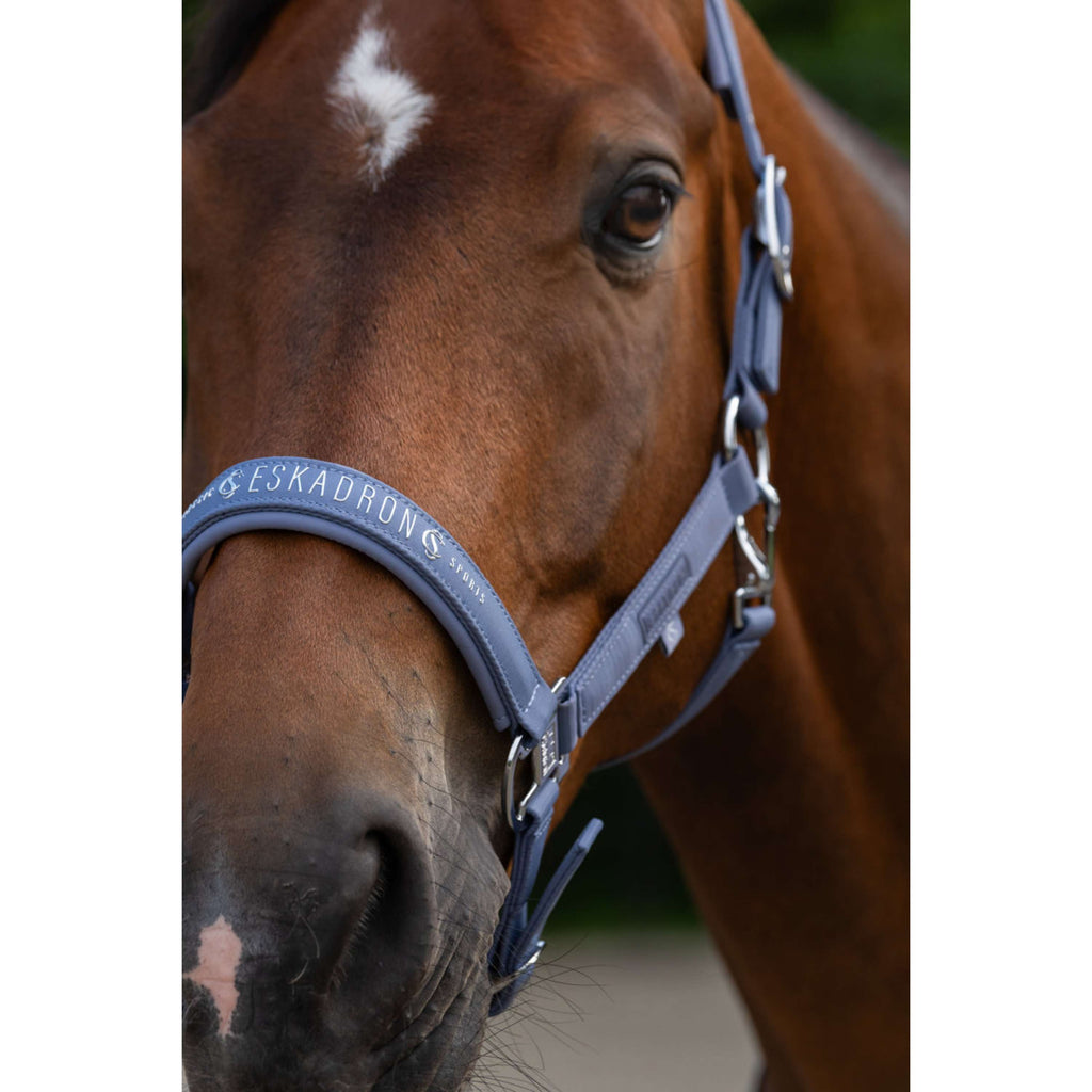 Eskadron Licol Classic Sports Sparkle Orchid