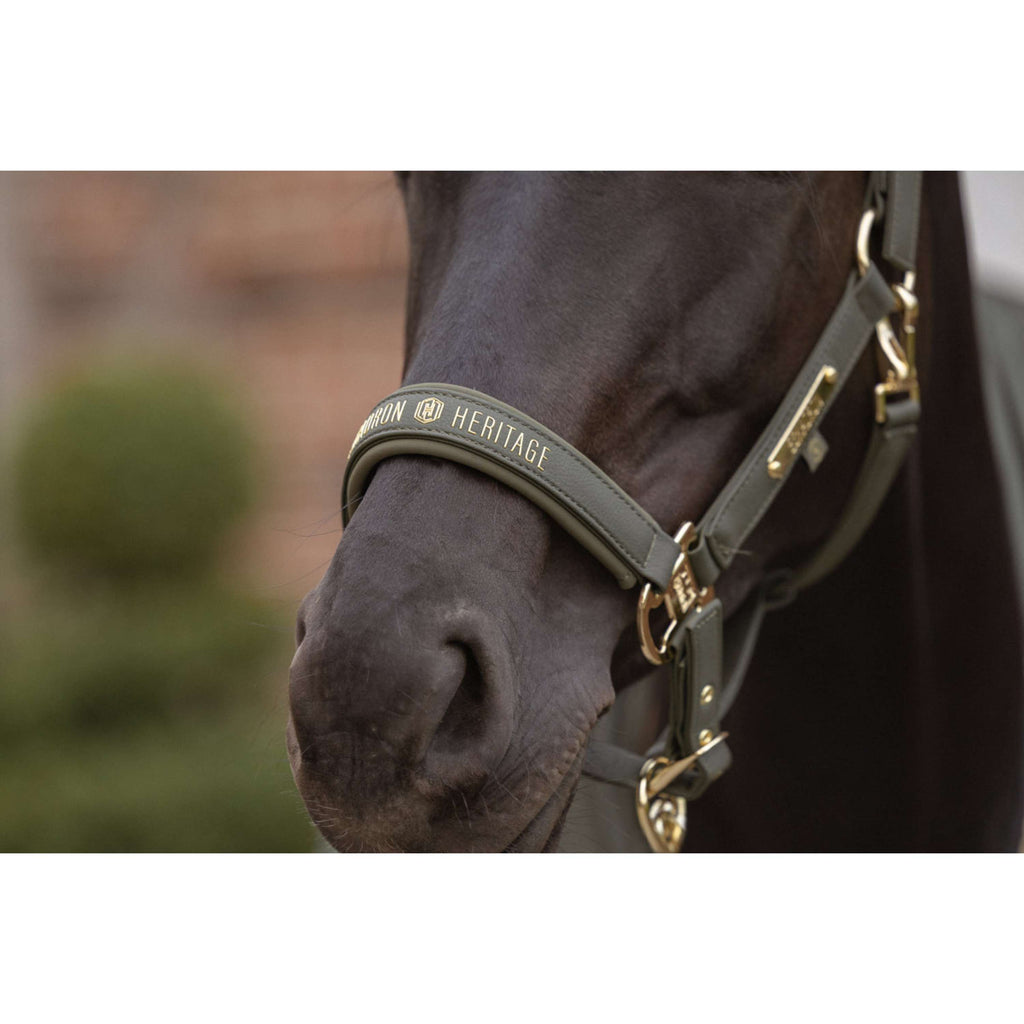 Eskadron Licol Heritage Faux Leather Double Pin Deep Moss