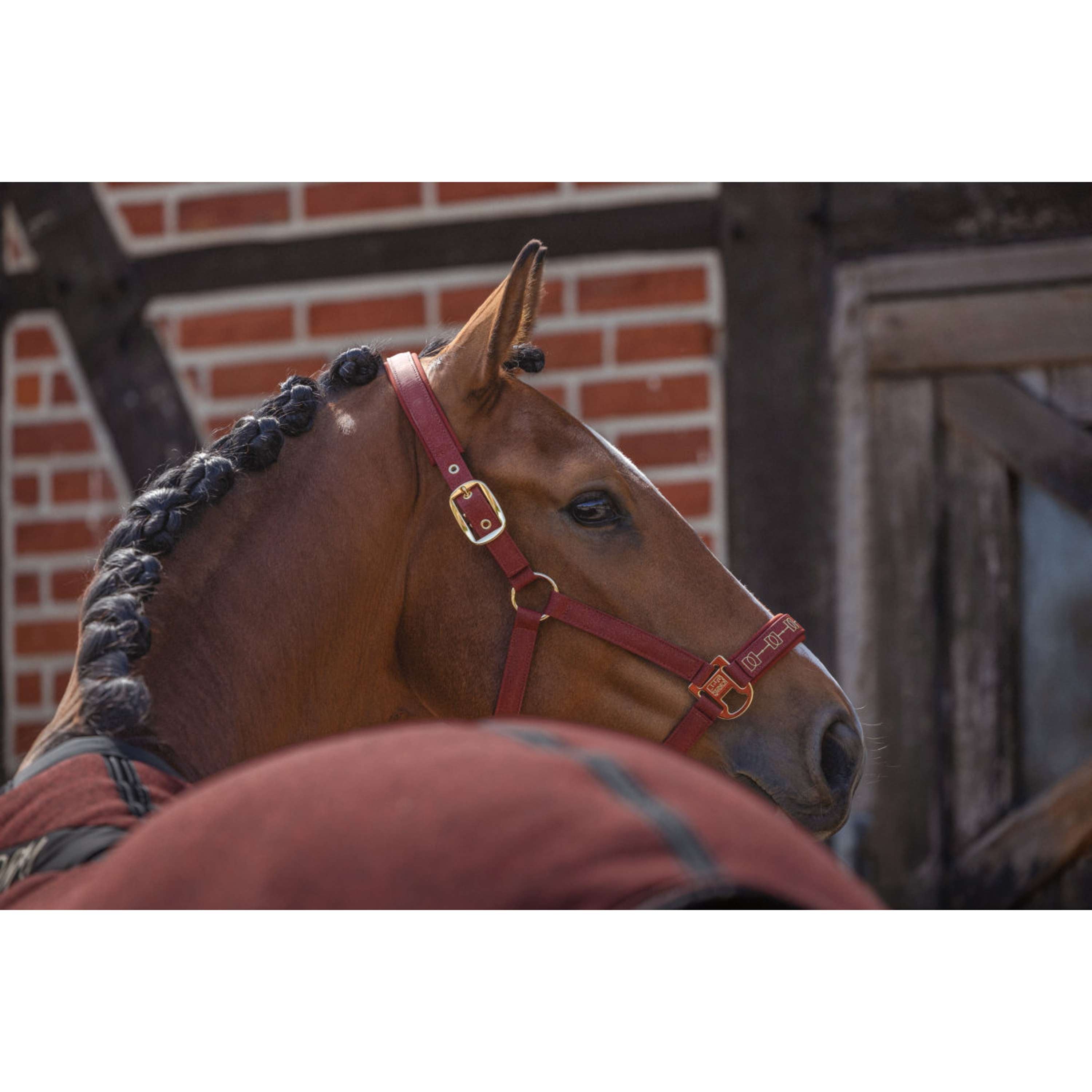 Eskadron Licol Heritage Sparkle Double Pin Merlot
