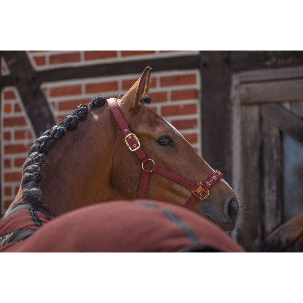 Eskadron Licol Heritage Sparkle Double Pin Merlot