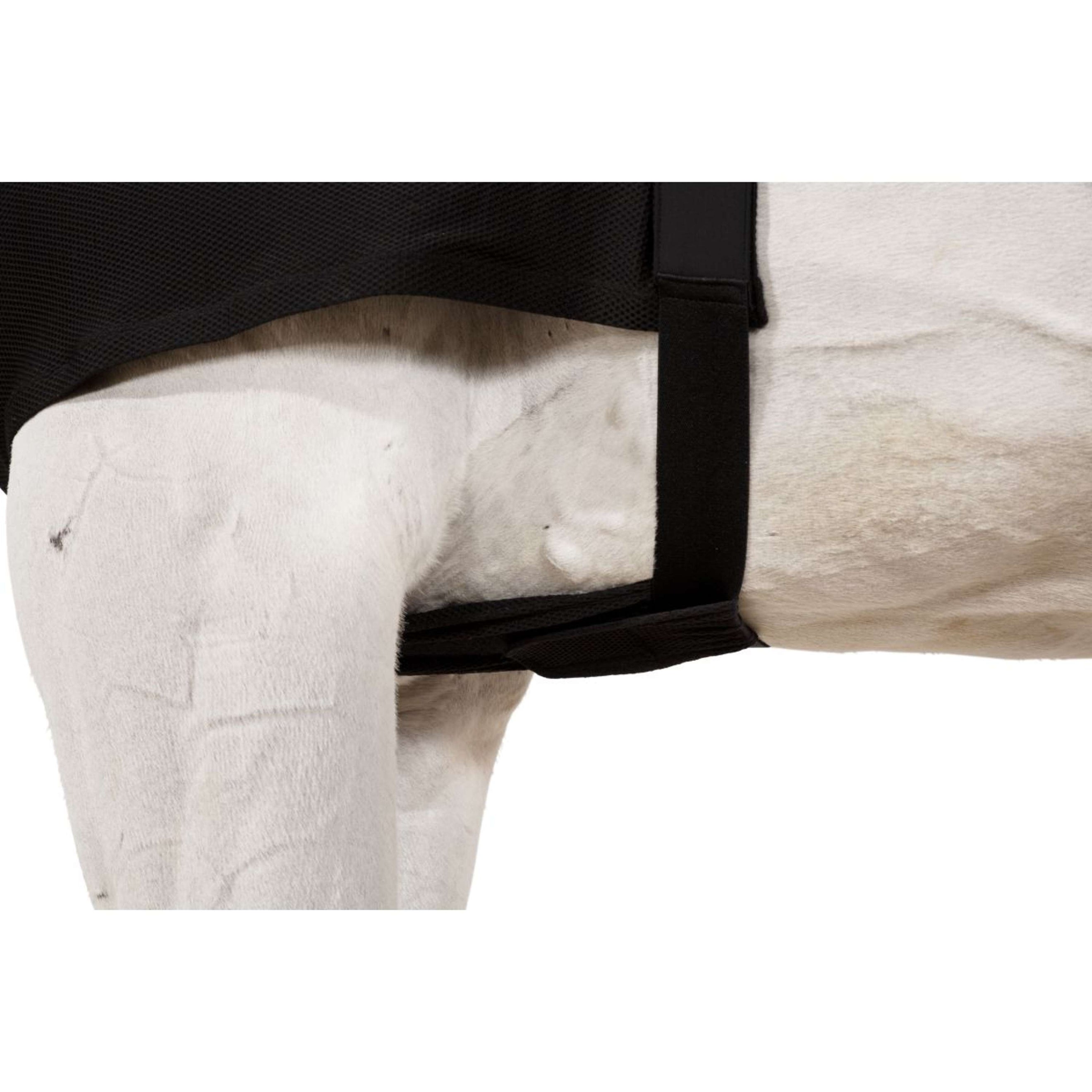 Eskadron Protection de Poitrail DynAirMesh Noir Eskadron Protection de Poitrail DynAirMesh Noir