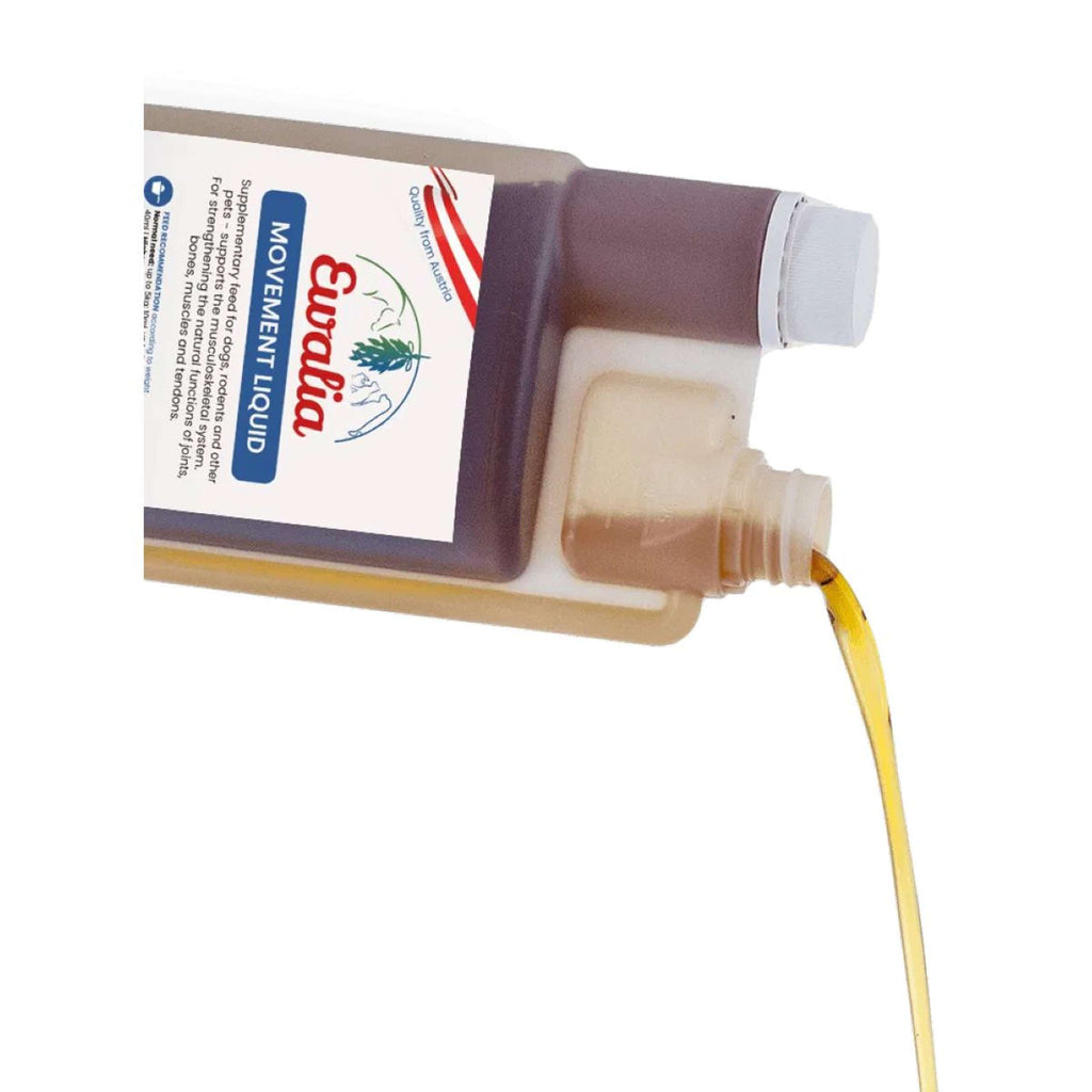 Ewalia Movement Liquid Chien
