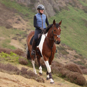 Aubrion by Shires Bodychauffant Original Fleece Bleu