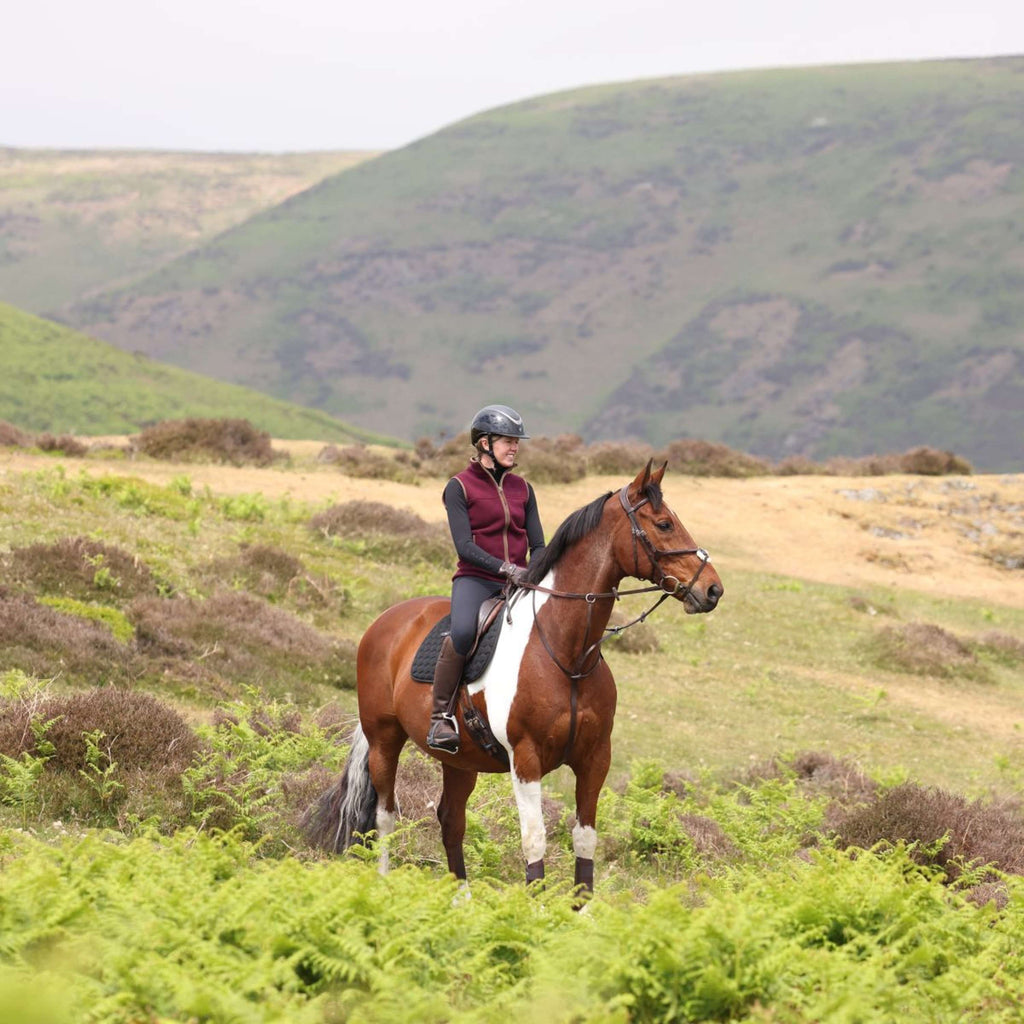 Aubrion by Shires Bodychauffant Original Fleece Maroon Red