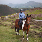 Aubrion by Shires Pull Original Fleece Bleu