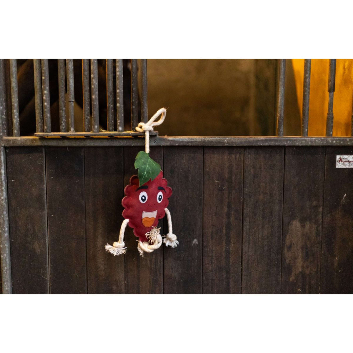 Excellent Horse Foodie Friends Framboise