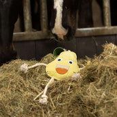 Excellent Horse Foodie Friends Pear