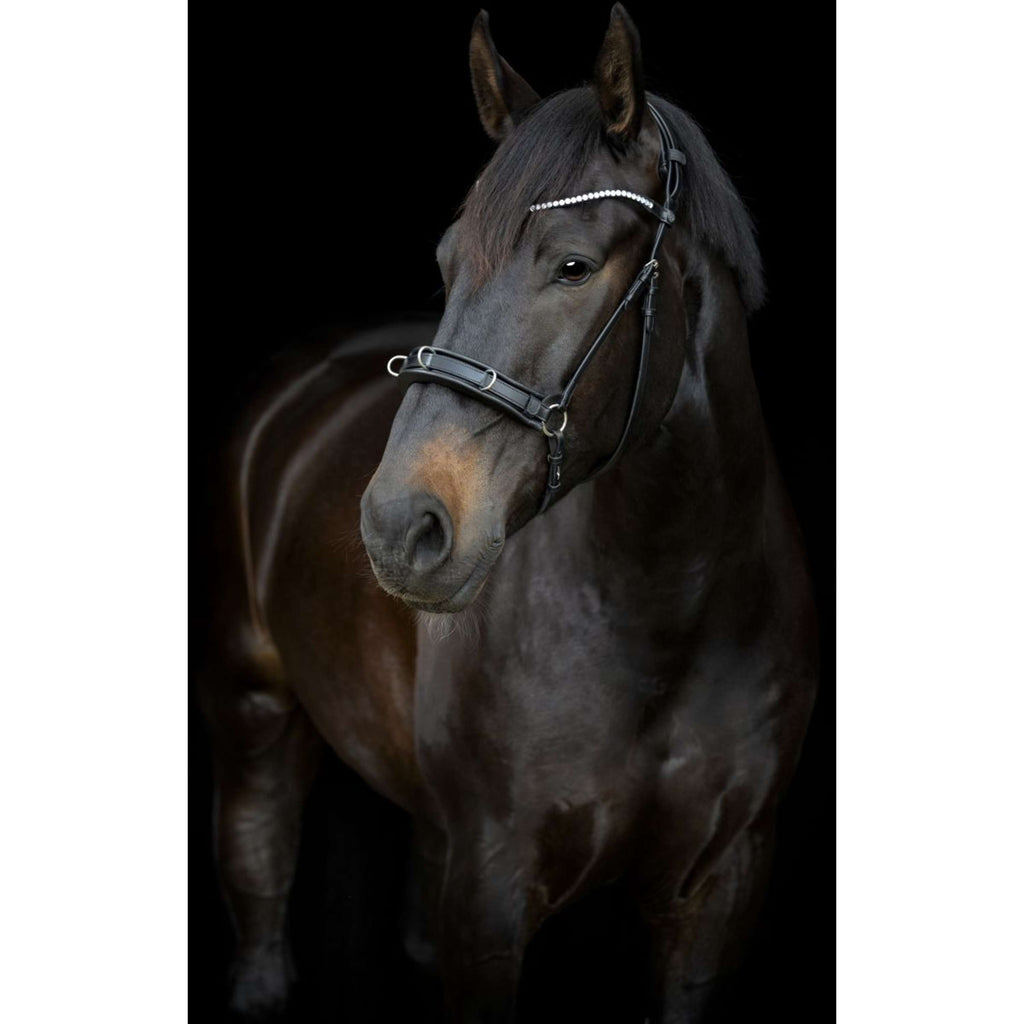 Catago Muserolle Gentle Noir