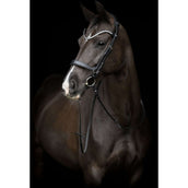 Catago Muserolle Gentle Noir