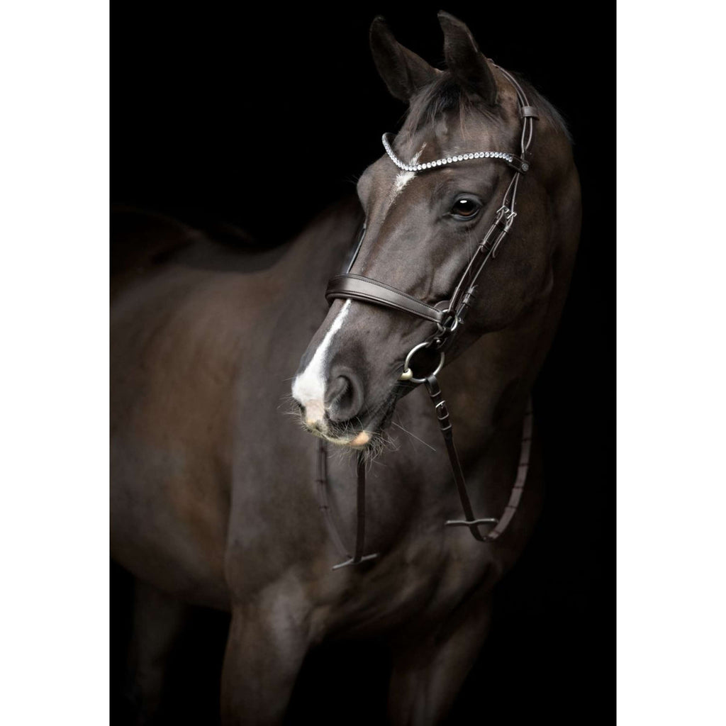 Catago Muserolle Gentle Marron
