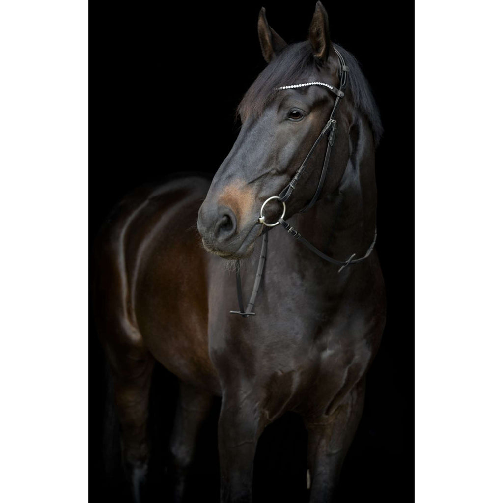 Catago Frontal Gentle Noir