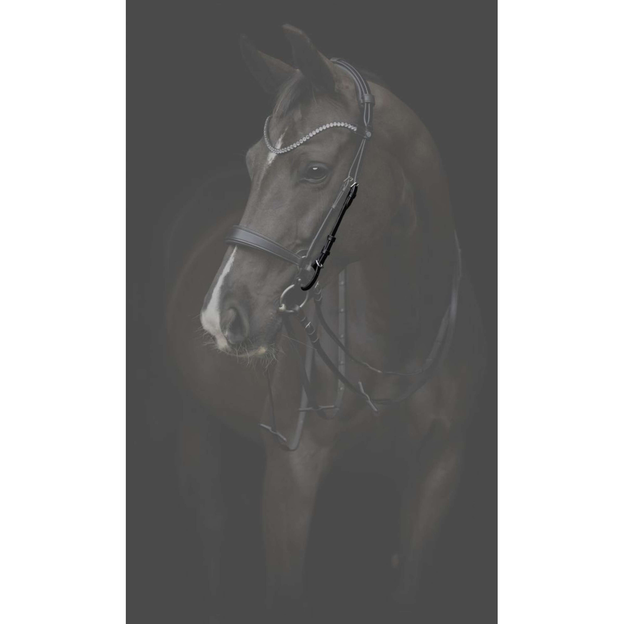 Catago Montants Gentle Marron