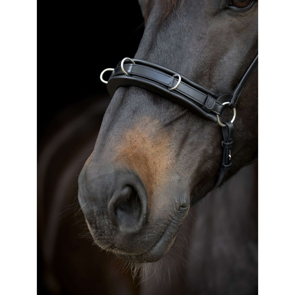 Catago Muserolle Gentle Noir