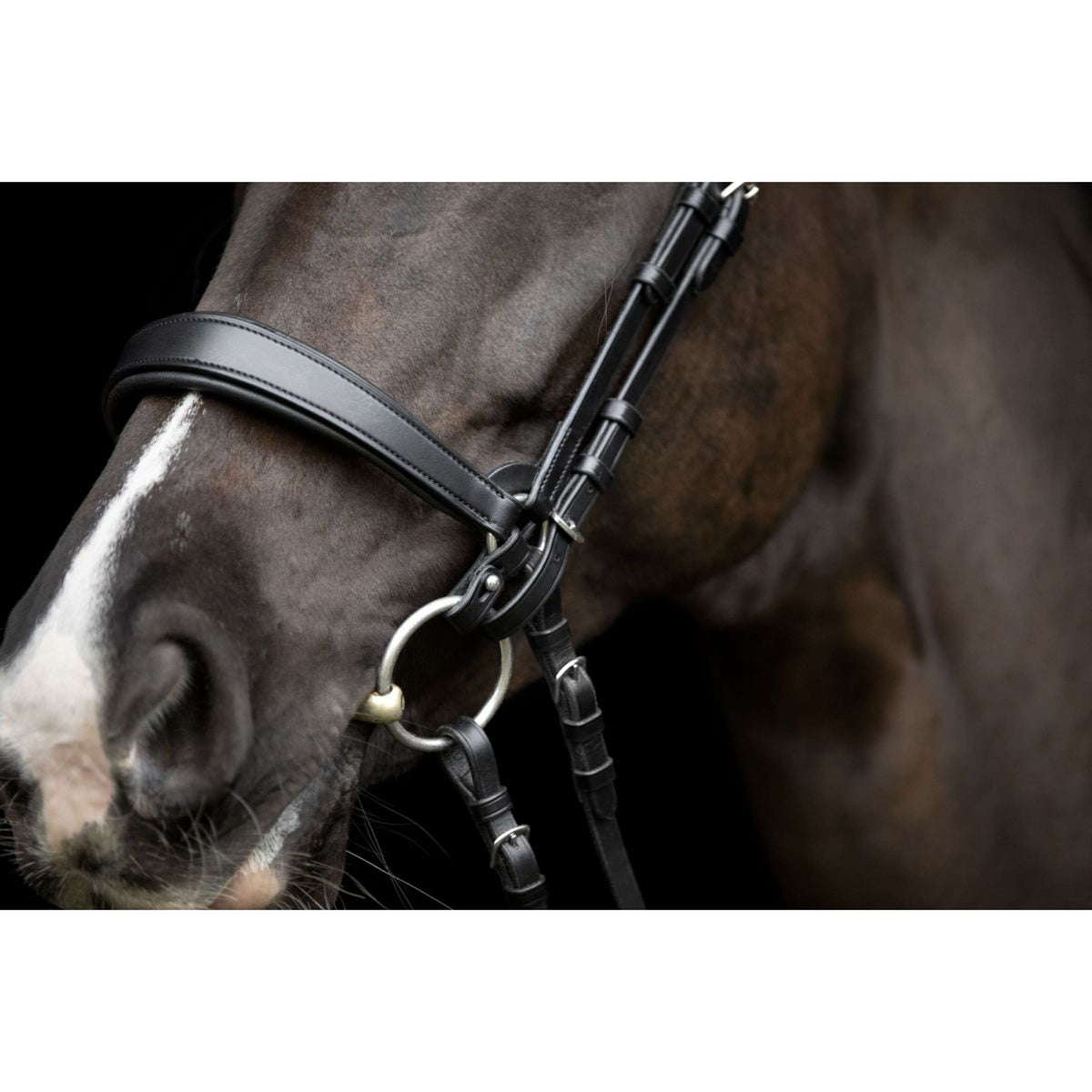 Catago Connecting Rings Gentle Marron