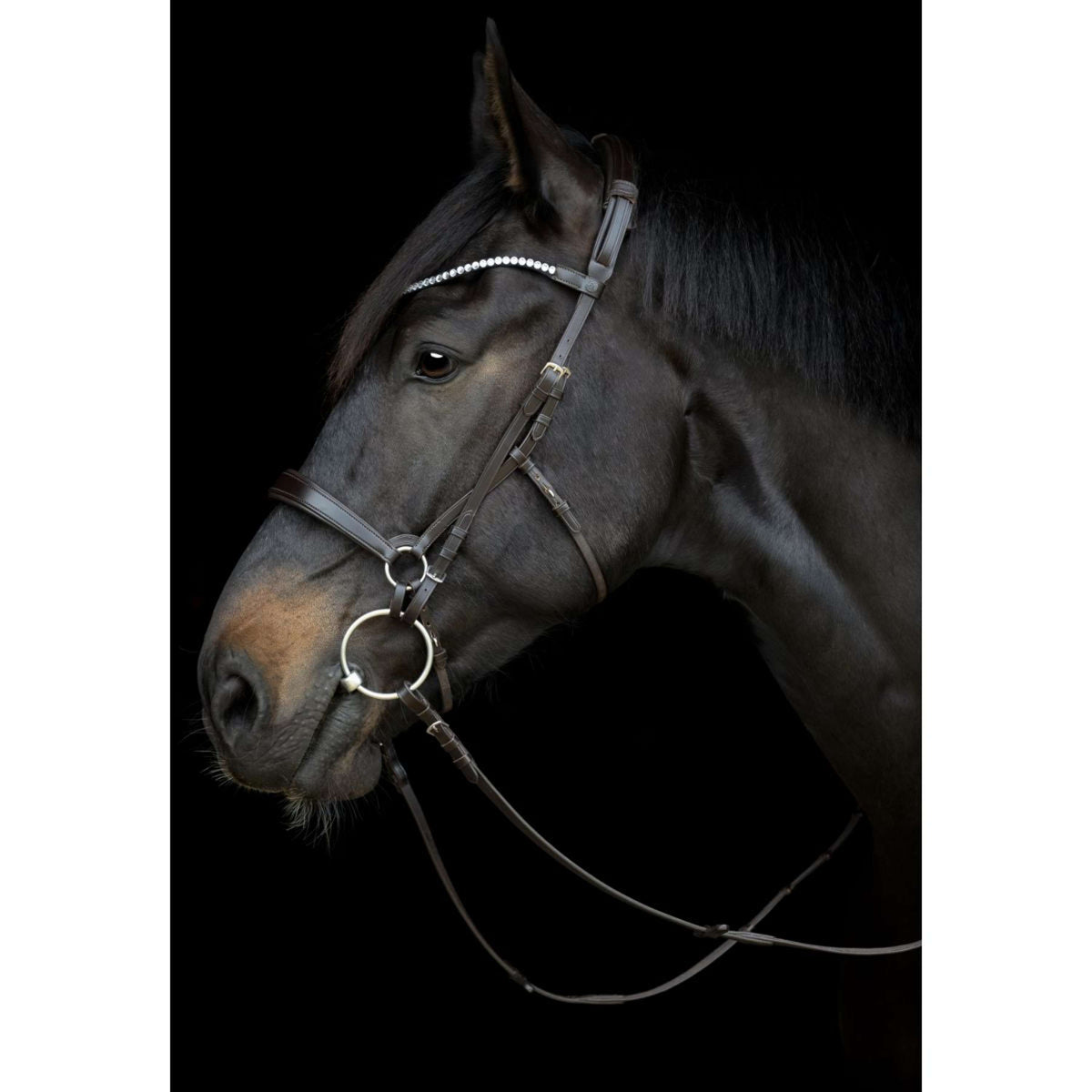 Catago Sous-Gorge Gentle Marron