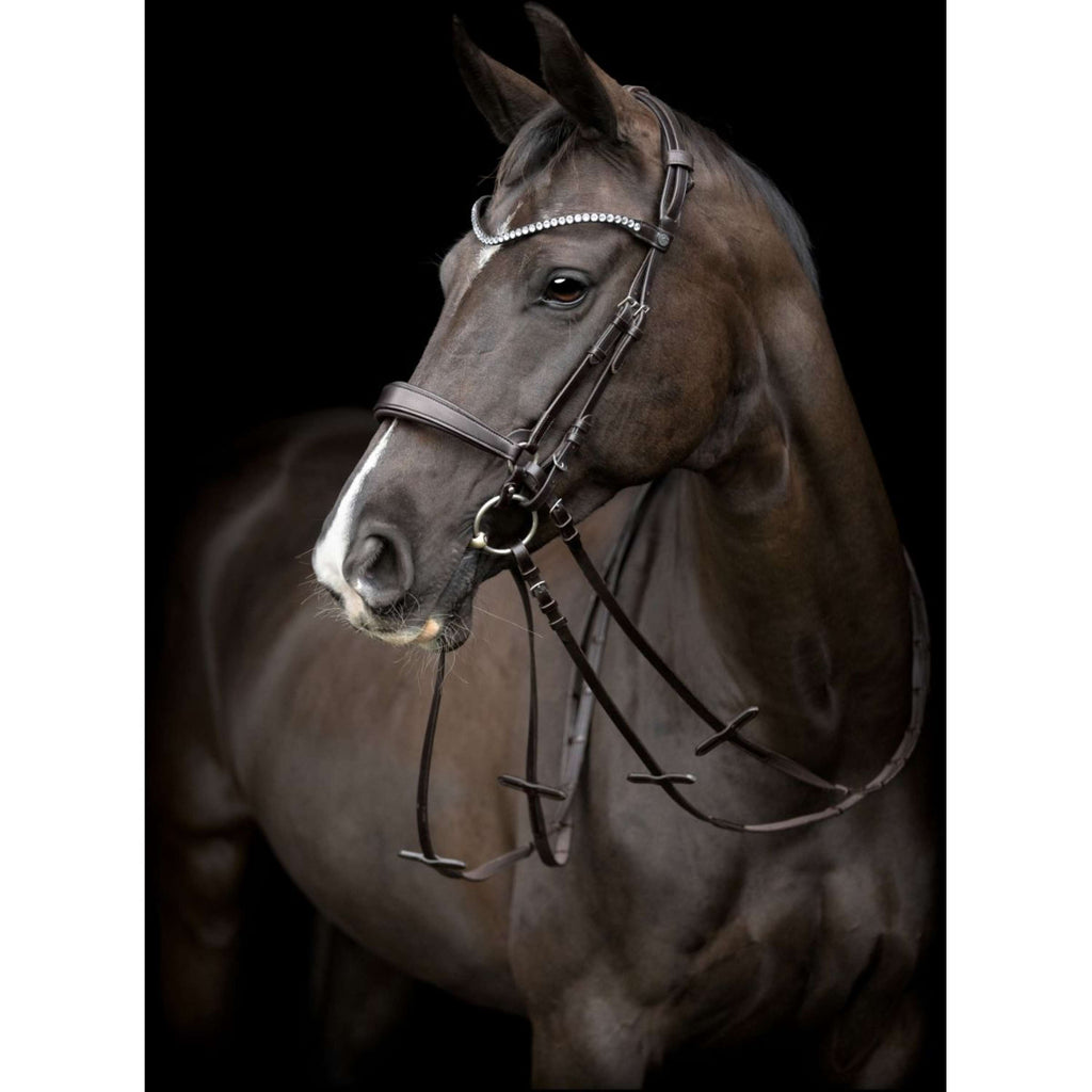 Catago Pièce de Tête Gentle Marron