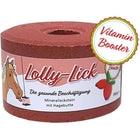 Animalixs Pierre à Lécher LollyLick Vitamin Booster Cynorrhodon