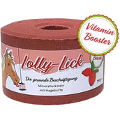 Animalixs Pierre à Lécher LollyLick Vitamin Booster Cynorrhodon