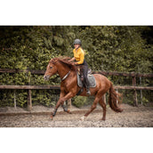 F.R.A. Rêne D'équilibre Whisper Marron